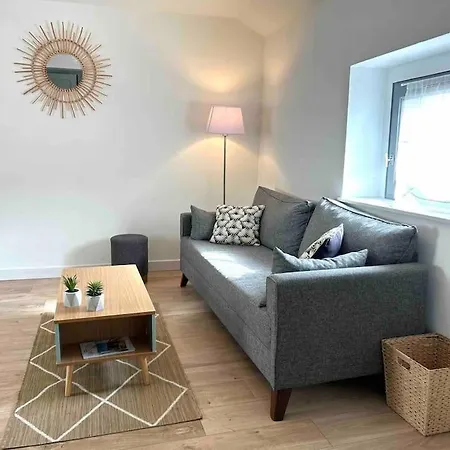 Hyper Centre Charmant T2 Idealement Situe Vienne  Exterior foto