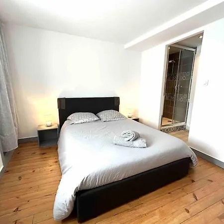 Hyper Centre Charmant T2 Idealement Situe Vienne  Exterior foto