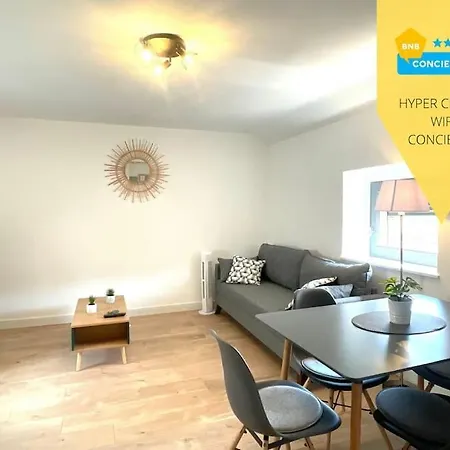 Hyper Centre Charmant T2 Idealement Situe Vienne  Exterior foto