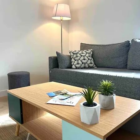 Hyper Centre Charmant T2 Idealement Situe Vienne  Exterior foto
