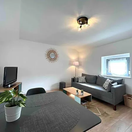Hyper Centre Charmant T2 Idealement Situe Vienne  Exterior foto