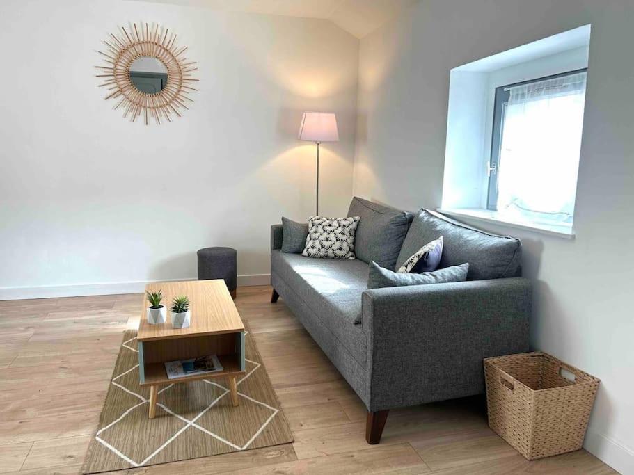 Hyper Centre T2 Idealement Situe Vienne (Isere)